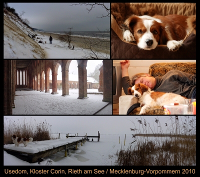 Mecklenburg-Vorpommern 2010