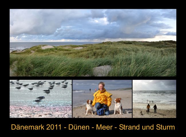DK2011