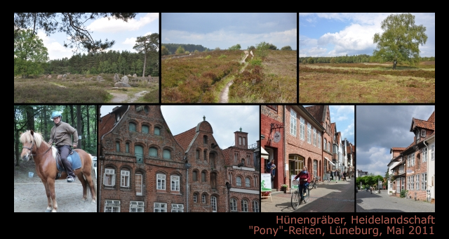 Lüneburger Heide 2011